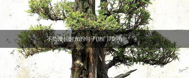 不负漫长时光的句子(热门70句),第1张