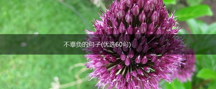 不辜负的句子(优选60句),第1张