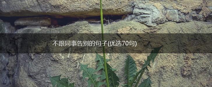 不跟同事告别的句子(优选70句),第1张