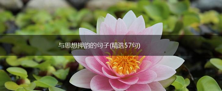 与思想押韵的句子(精选57句),第1张