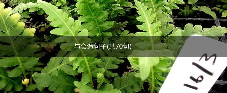 与会造句子(共70句),第1张