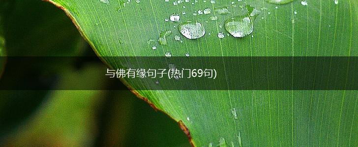 与佛有缘句子(热门69句),第1张