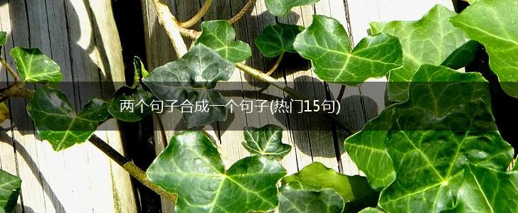 两个句子合成一个句子(热门15句),第1张