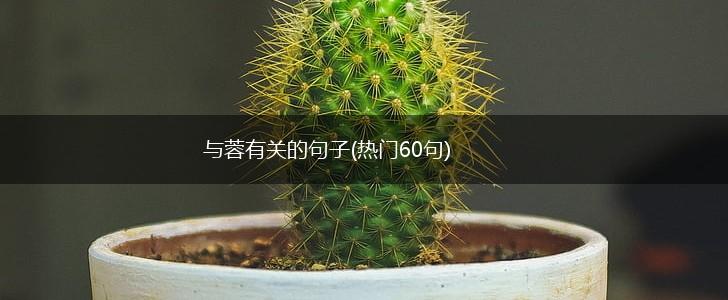 与蓉有关的句子(热门60句),第1张