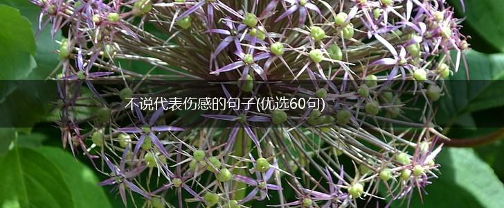 不说代表伤感的句子(优选60句),第1张