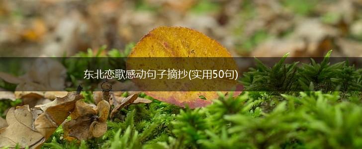 东北恋歌感动句子摘抄(实用50句),第1张