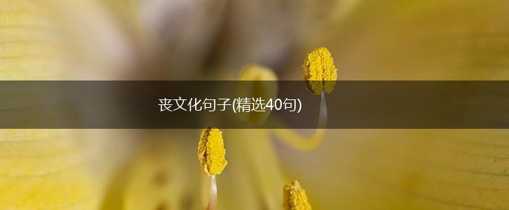 丧文化句子(精选40句),第1张
