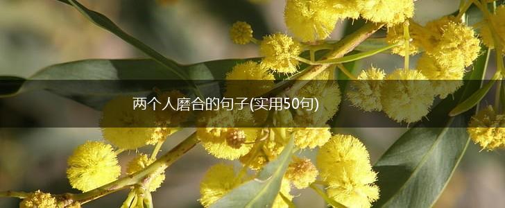 两个人磨合的句子(实用50句),第1张