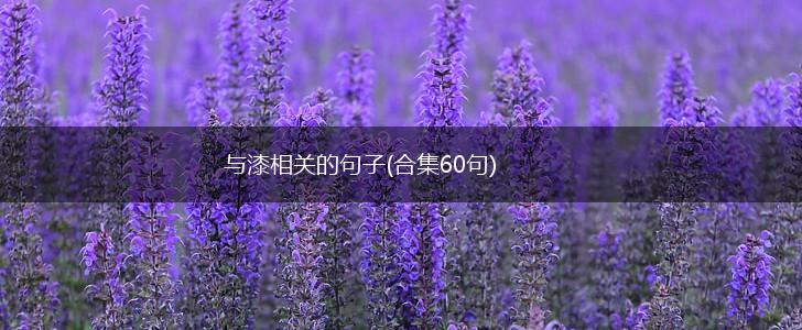 与漆相关的句子(合集60句),第1张