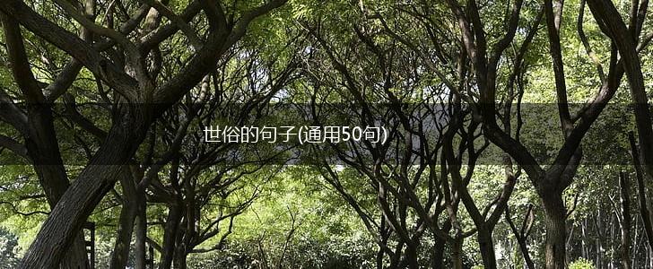 世俗的句子(通用50句),第1张