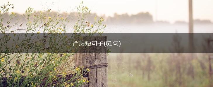 严厉短句子(61句),第1张