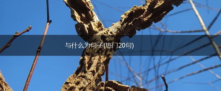 与什么为句子(热门20句),第1张