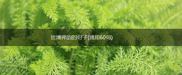 世博押韵的句子(通用60句),第1张