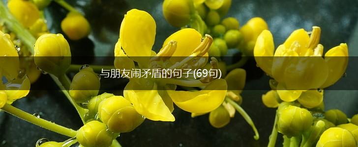 与朋友闹矛盾的句子(69句),第1张