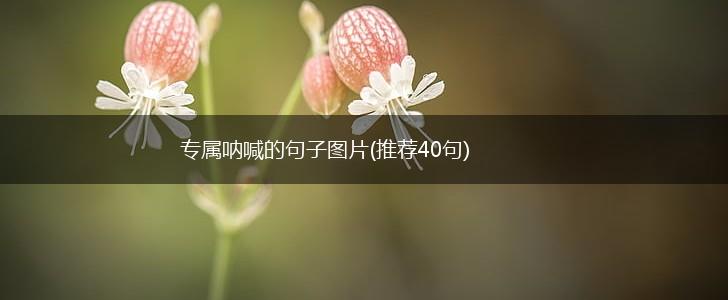 专属呐喊的句子图片(推荐40句),第1张