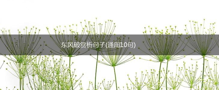 东风破赏析句子(通用10句),第1张