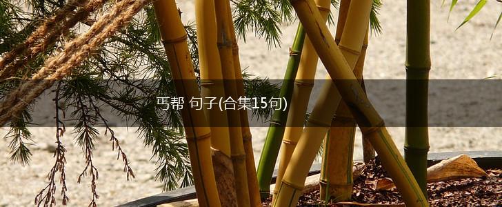 丐帮 句子(合集15句),第1张