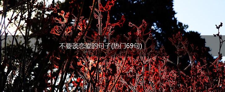 不要谈恋爱的句子(热门69句),第1张