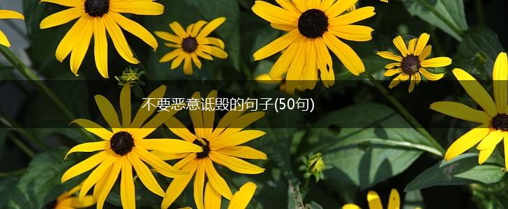 不要恶意诋毁的句子(50句),第1张
