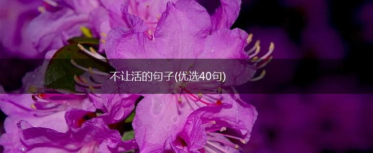 不让活的句子(优选40句),第1张
