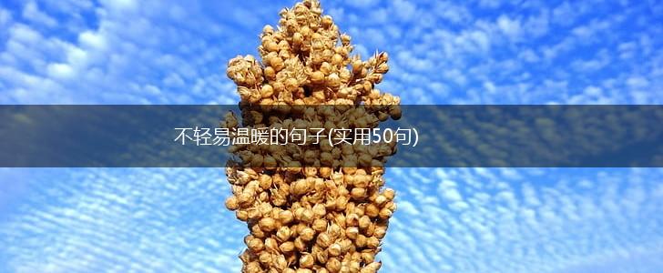 不轻易温暖的句子(实用50句),第1张