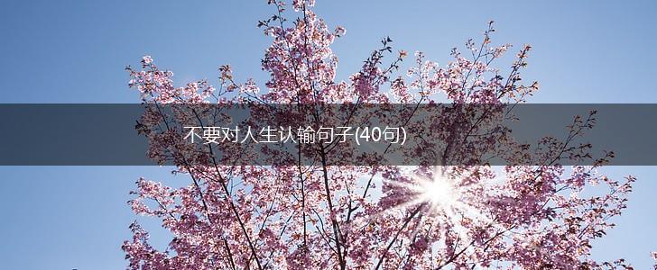 不要对人生认输句子(40句),第1张