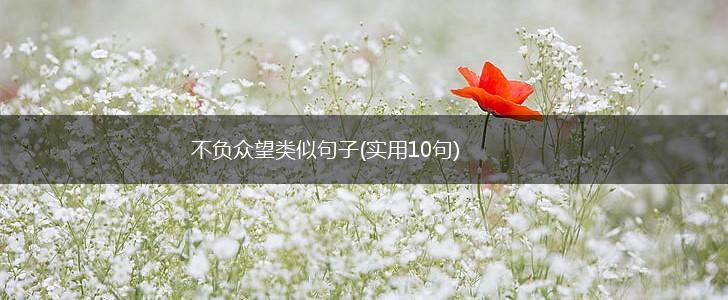 不负众望类似句子(实用10句),第1张