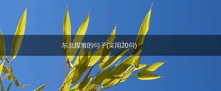 东北煤堆的句子(实用20句),第1张