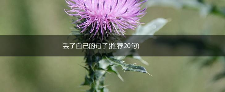 丢了自己的句子(推荐20句),第1张
