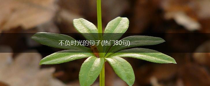 不负时光的句子(热门80句),第1张