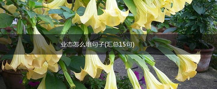 业态怎么组句子(汇总15句),第1张