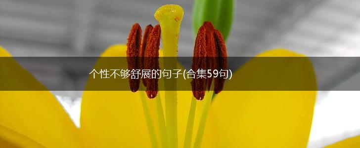 个性不够舒展的句子(合集59句),第1张