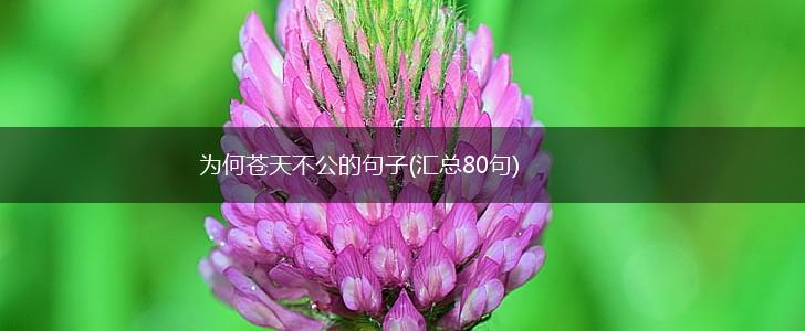 为何苍天不公的句子(汇总80句),第1张