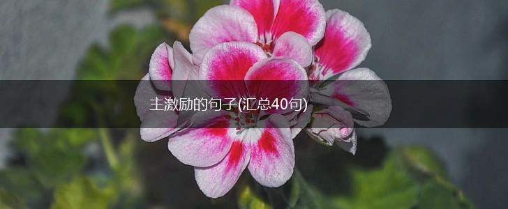 主激励的句子(汇总40句),第1张