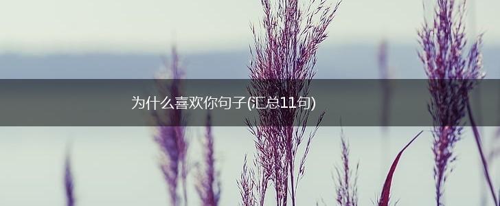 为什么喜欢你句子(汇总11句),第1张