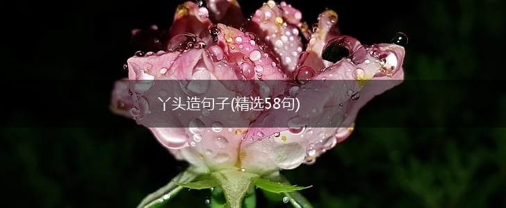 丫头造句子(精选58句),第1张