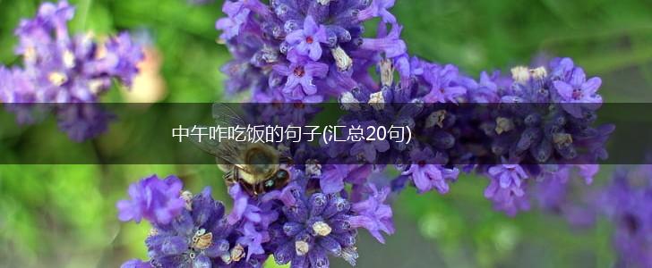 中午咋吃饭的句子(汇总20句),第1张