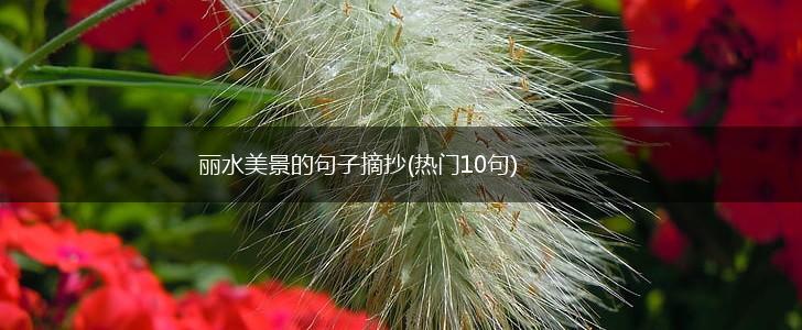 丽水美景的句子摘抄(热门10句),第1张