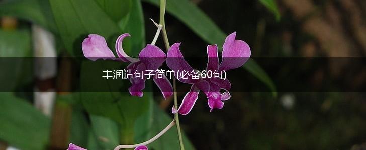 丰润造句子简单(必备60句),第1张