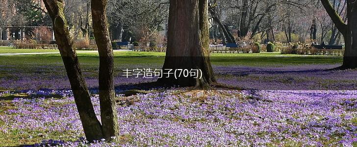 丰字造句子(70句),第1张