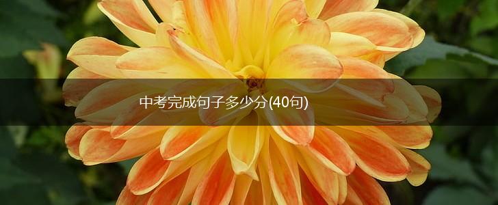 中考完成句子多少分(40句),第1张