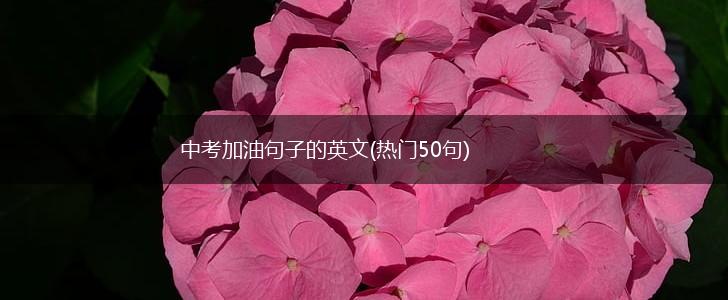 中考加油句子的英文(热门50句),第1张