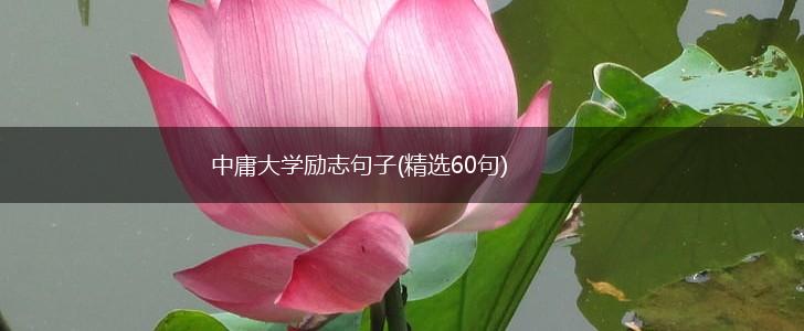 中庸大学励志句子(精选60句),第1张
