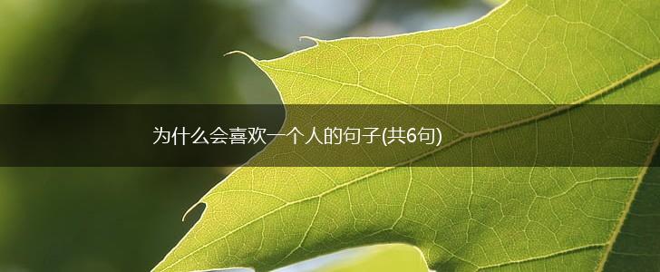 为什么会喜欢一个人的句子(共6句),第1张