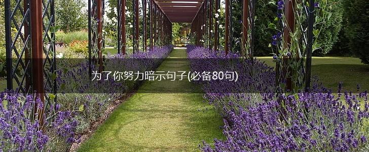 为了你努力暗示句子(必备80句),第1张