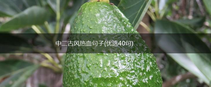 中二古风热血句子(优选40句),第1张