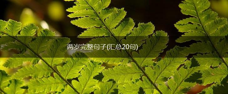 两岁完整句子(汇总20句),第1张