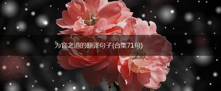 为官之道的翻译句子(合集71句),第1张