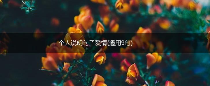 个人说明句子爱情(通用9句),第1张