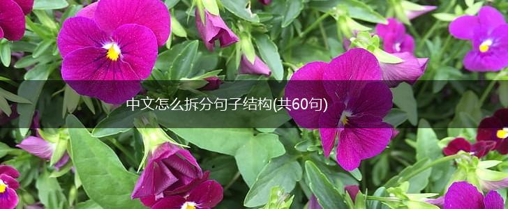 中文怎么拆分句子结构(共60句),第1张